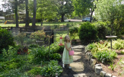 Garden Week in Georgia: Explore Gardens Around the World by RGC Blogger Suzy Crowe