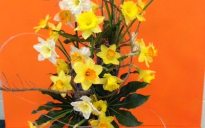 Daffodil Inspirations – Quick Floral Design & Style Pointers from the 2019 Annual Daffodil Show by RGC Blogger Gretchen Collins