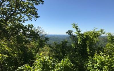 Garden Week in Georgia: Arbor Day–Don’t Miss Your Chance to Celebrate Trees by RGC Blogger Lisa Ethridge
