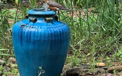 National Garden Week: Feeding…& Watering…the Birds by RGC Bloggers Lisa Ethridge & Suzy Crowe
