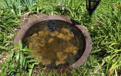 National Garden Week: Go Green with a 100% Solar Powered Fountain by RGC Blogger Suzy Crowe