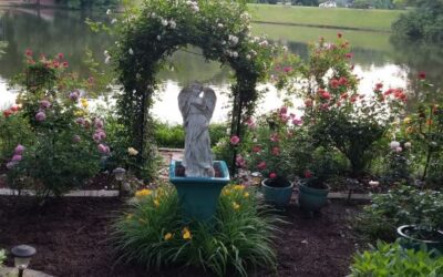 National Garden Week: A Look at Some of our Favorite Gardens by RGC Members
