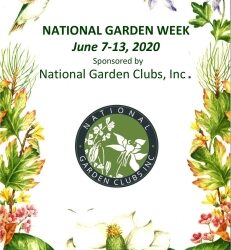 National Garden Week: Why Isn’t My Annual Blooming? by RGC blogger Lisa Ethridge
