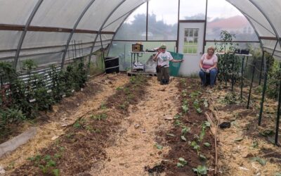 Community Gardening: The Gardens at the Center for Children & Young Adults, Part 2, by Guest Blogger Maureen Lok